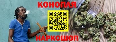 шишки Жуковский