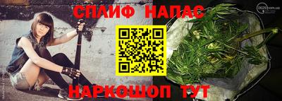 шишки Жуковский