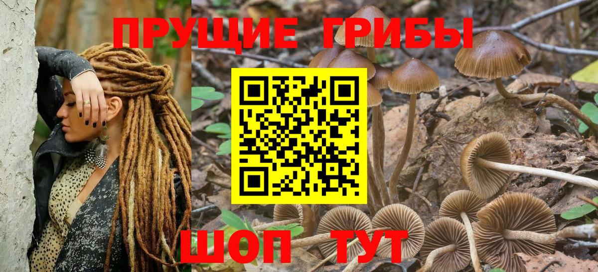 Галлюциногенные грибы ЛСД Краснодар